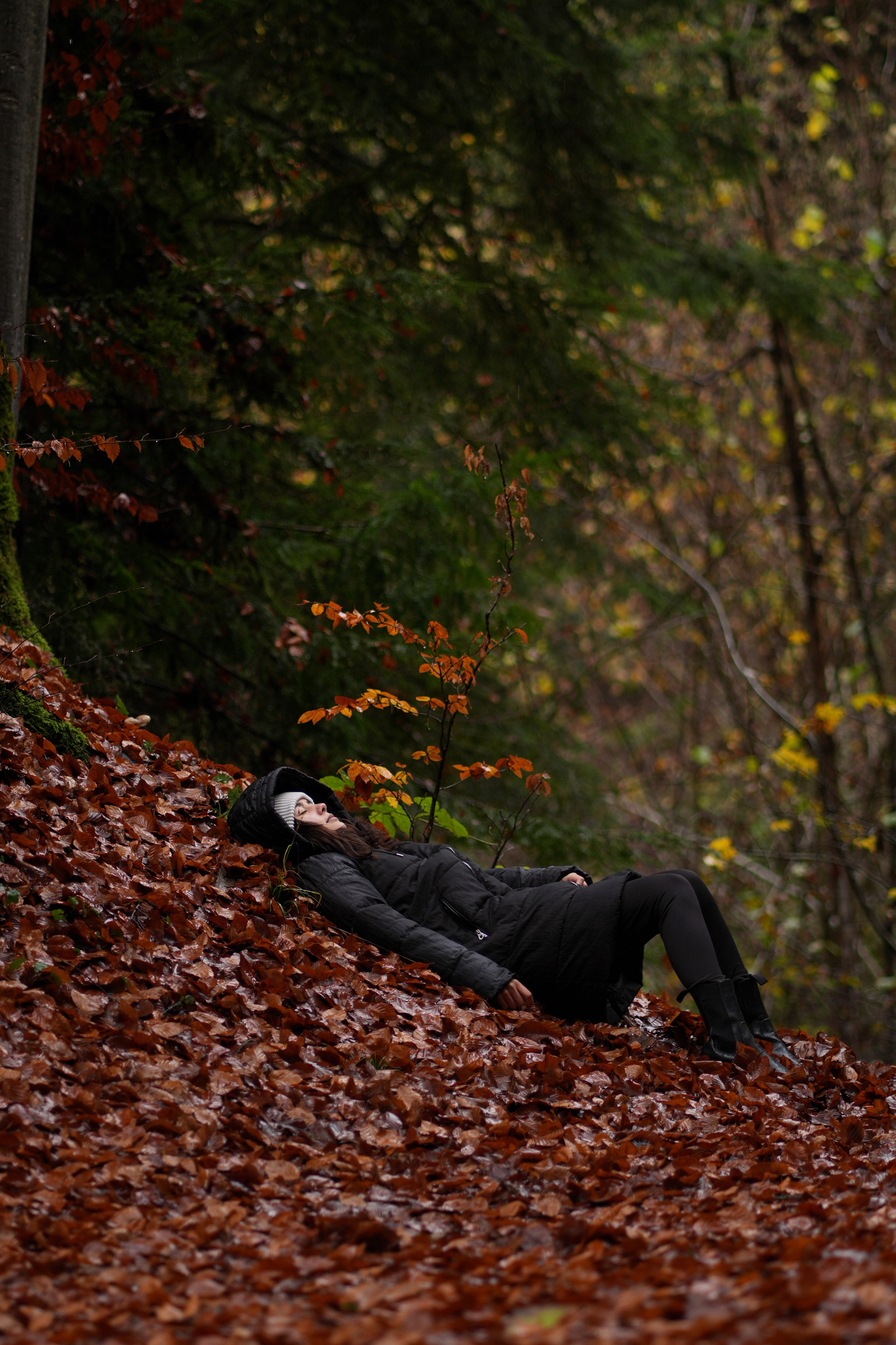 Enchanted forest photography 10