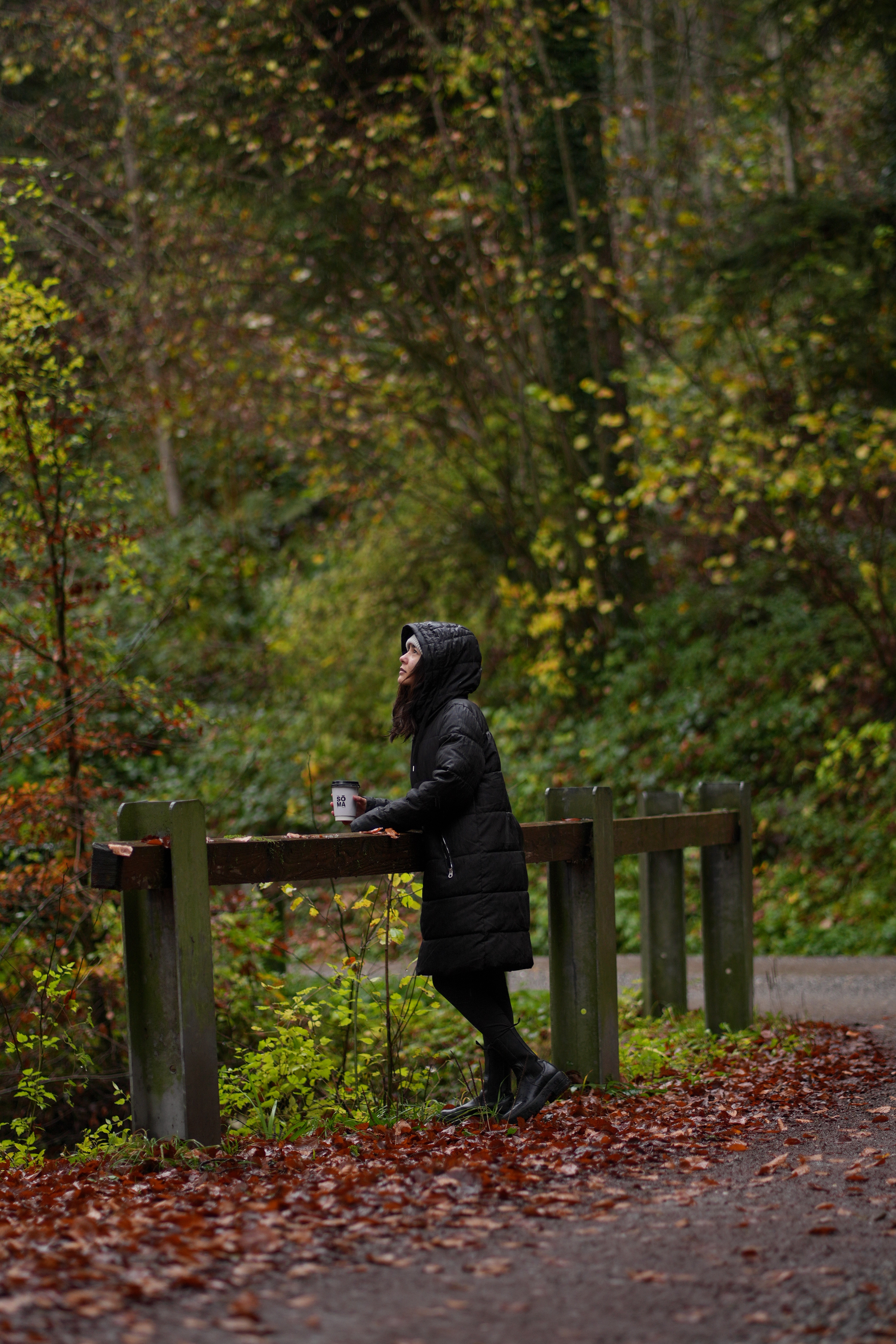 Enchanted forest photography 11