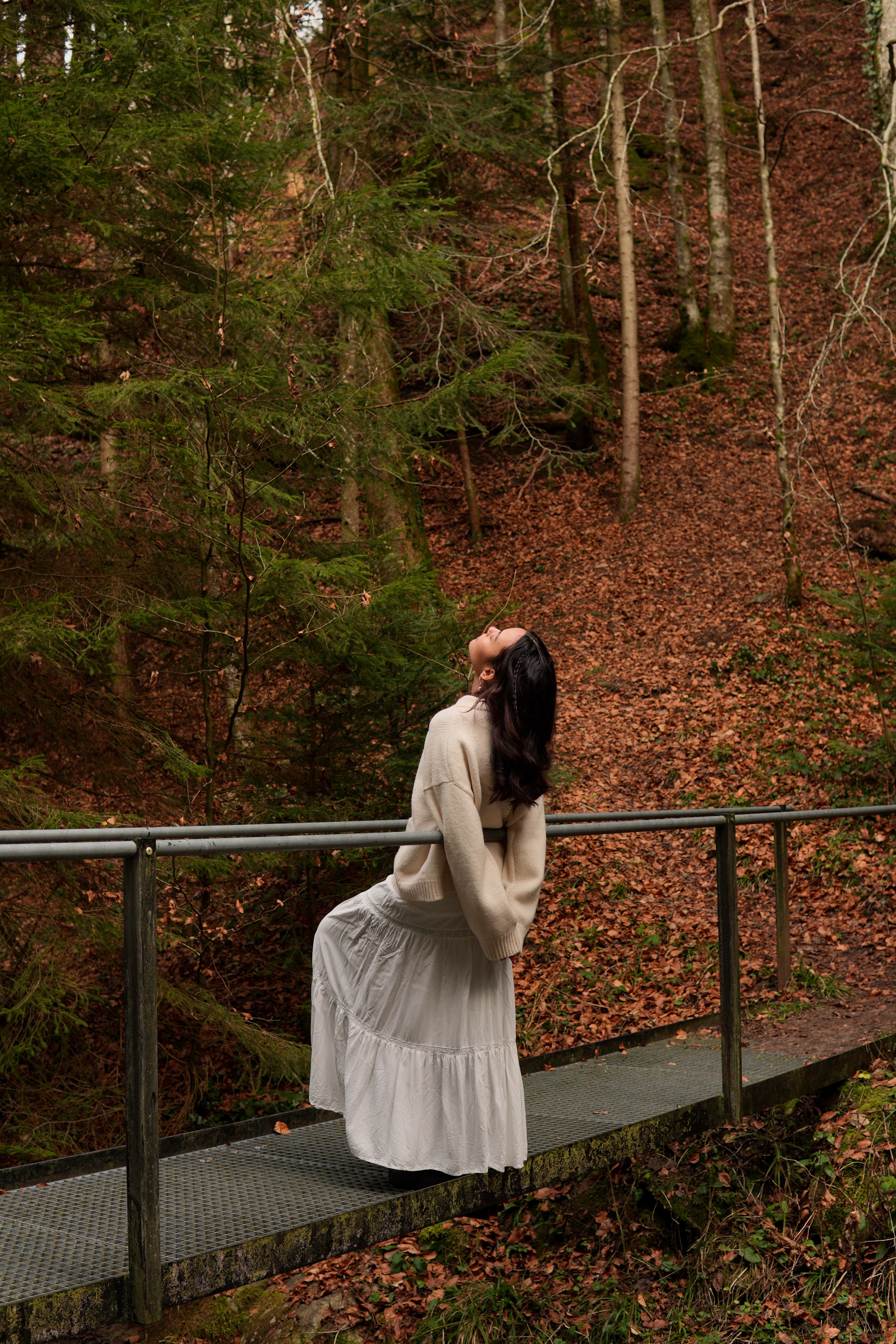 Enchanted forest photography 13