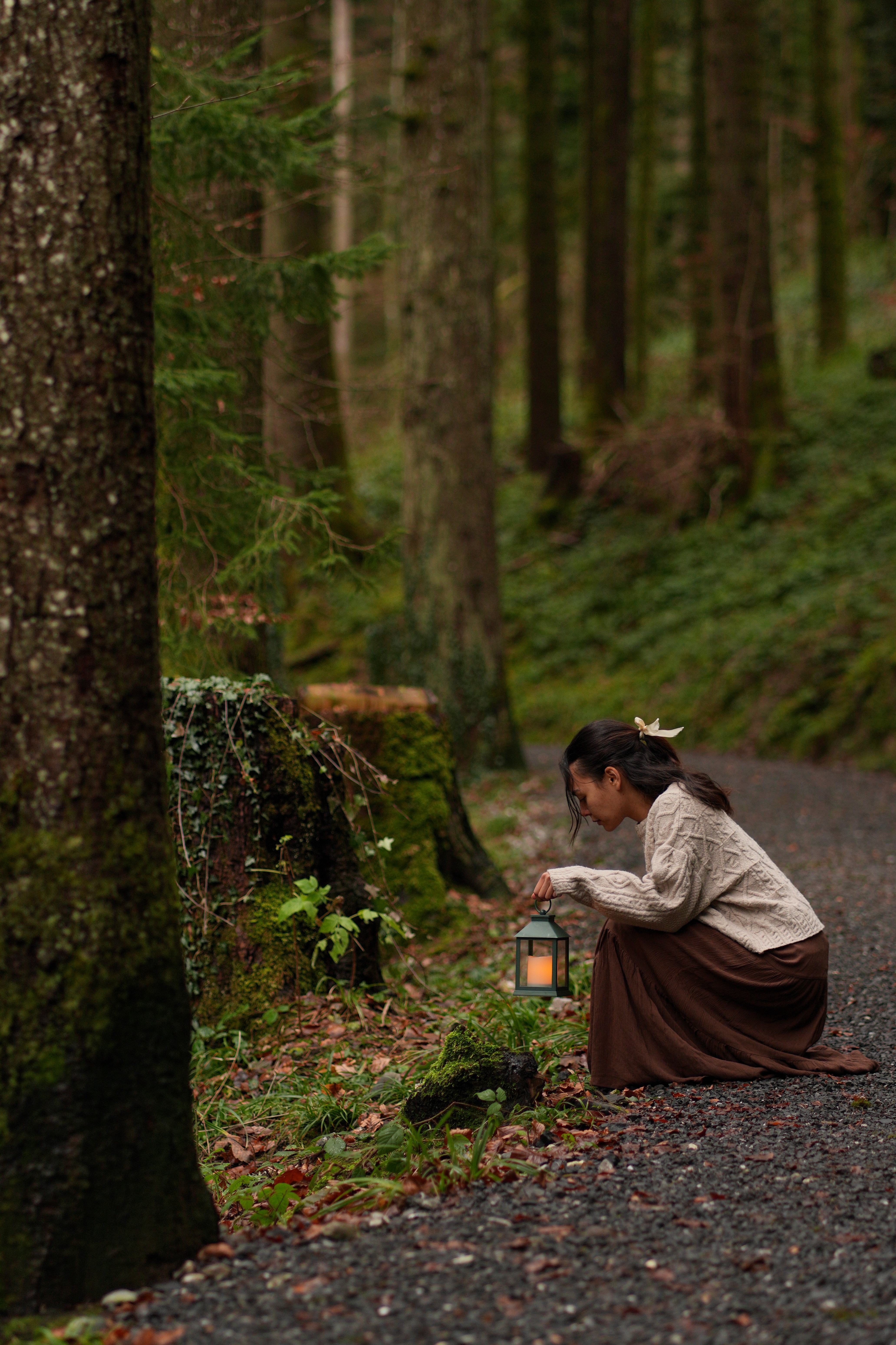 Enchanted forest photography 7