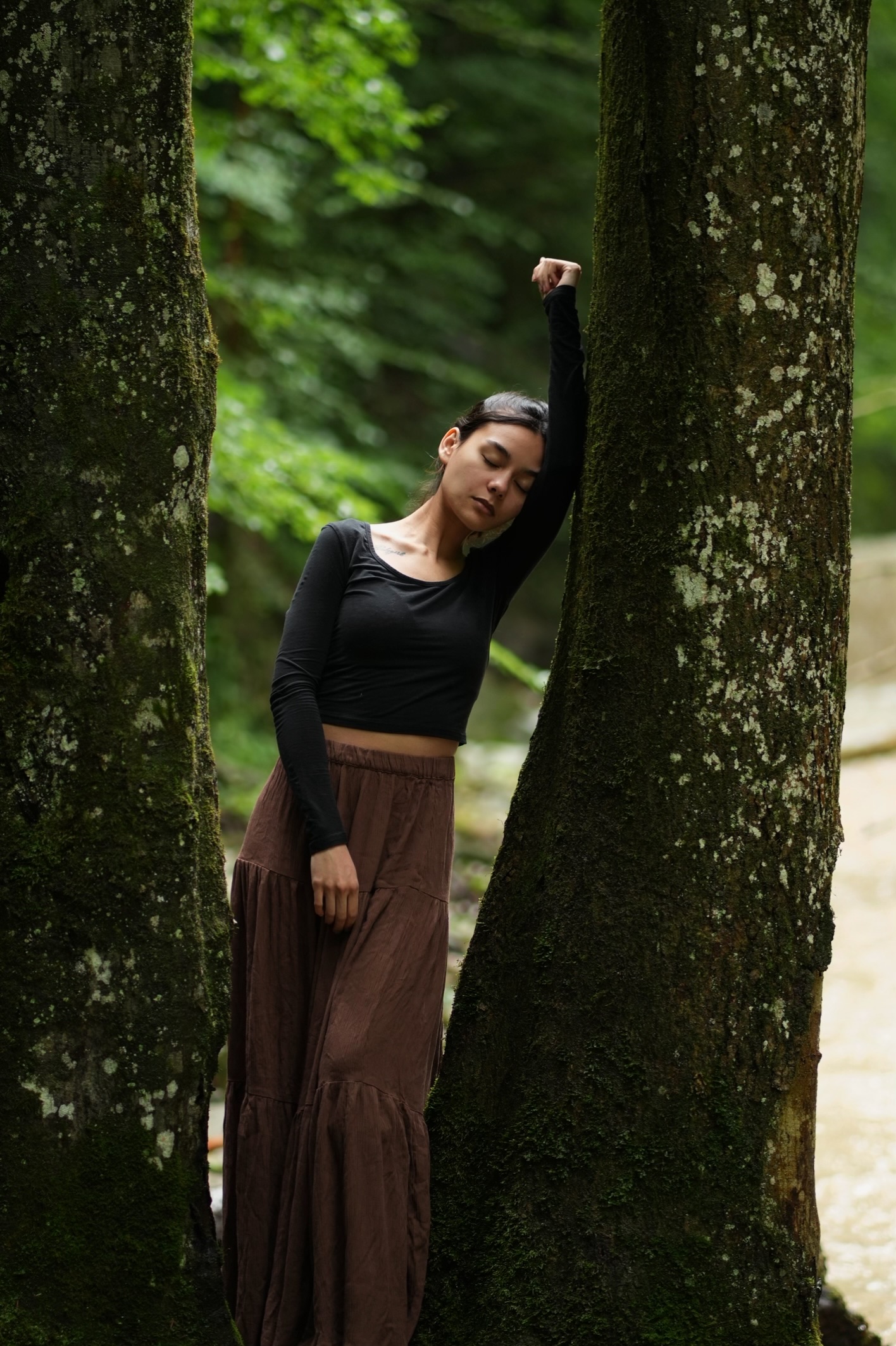 Enchanted forest photography 1