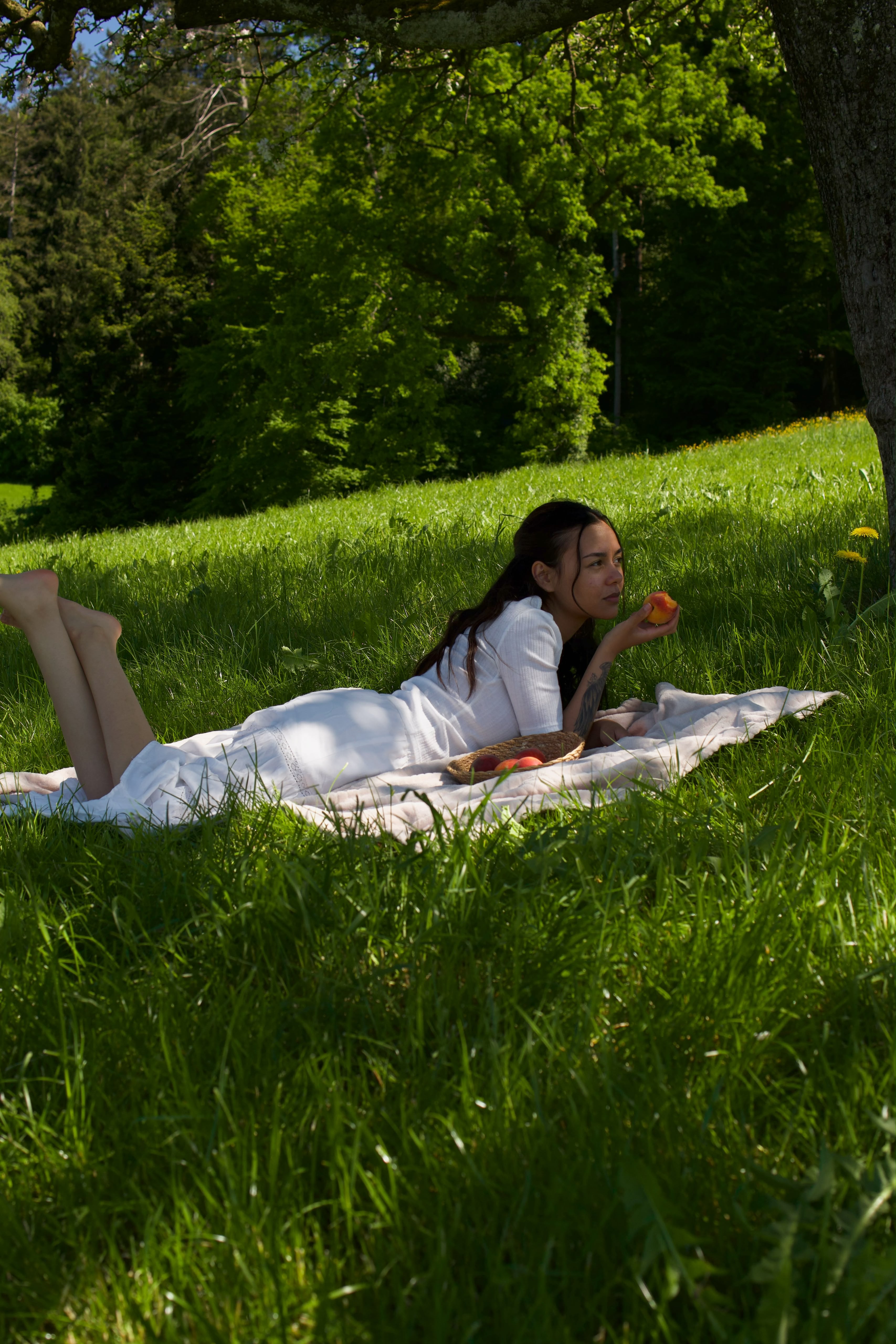 Summer picnic photography 6