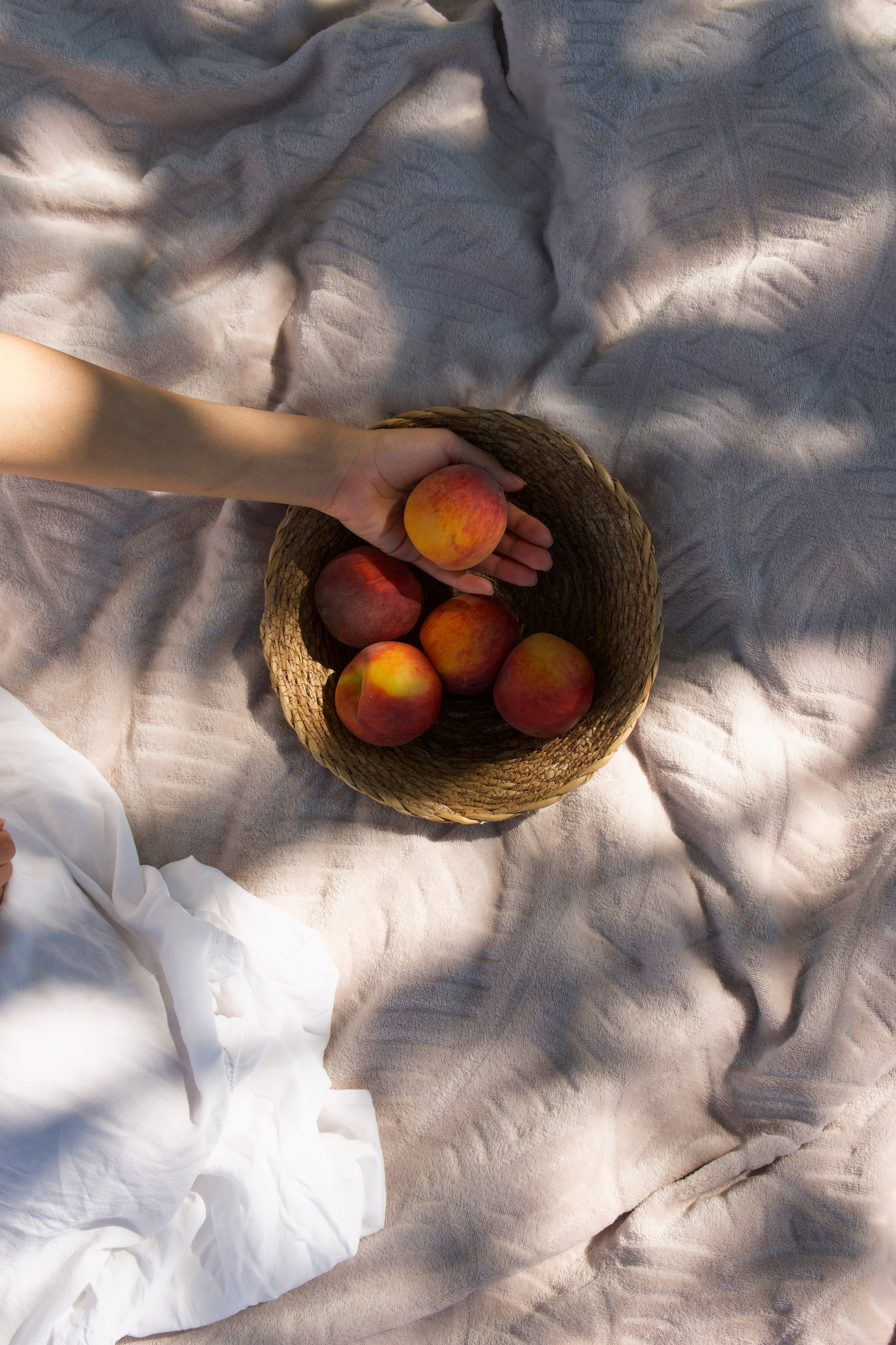 Summer picnic photography 5