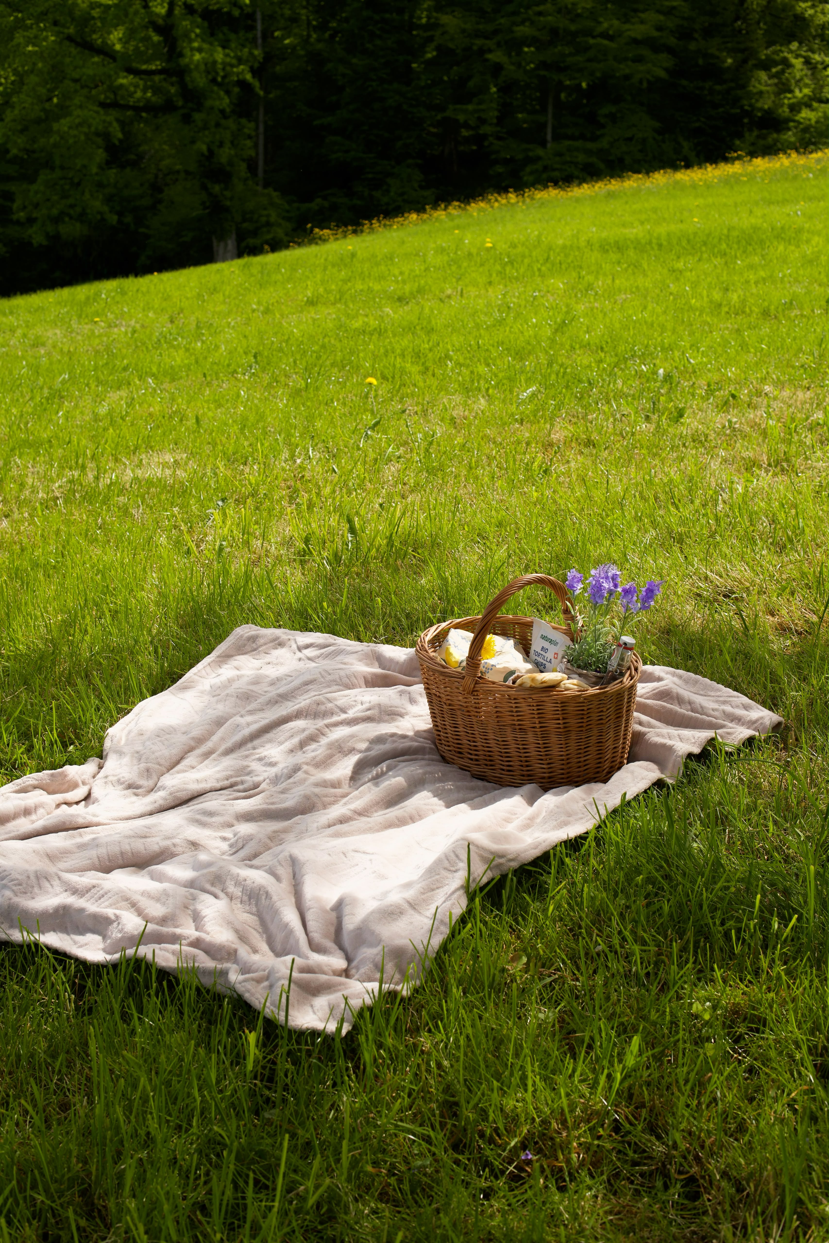 Summer picnic photography 2
