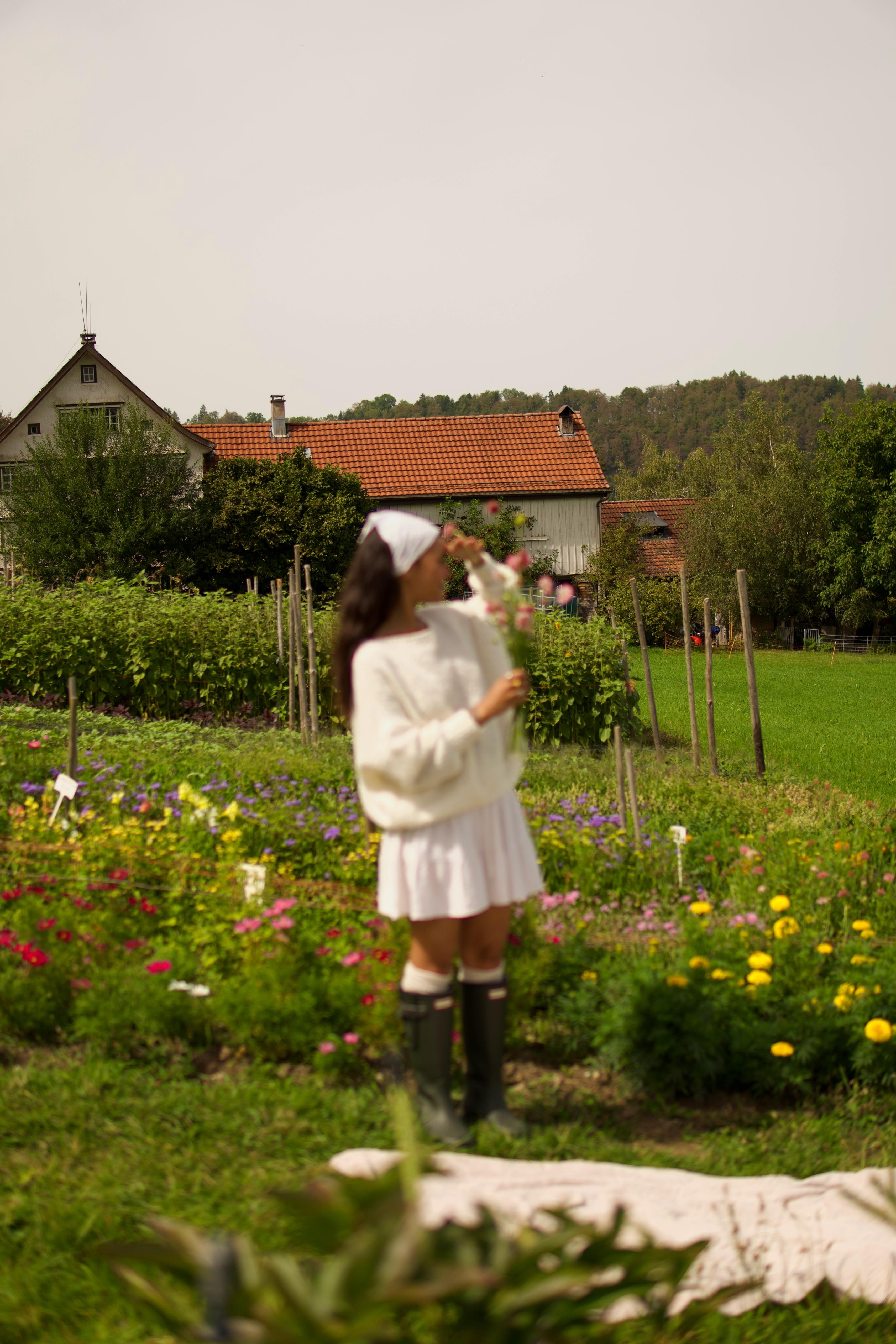 Summer picnic photography 14