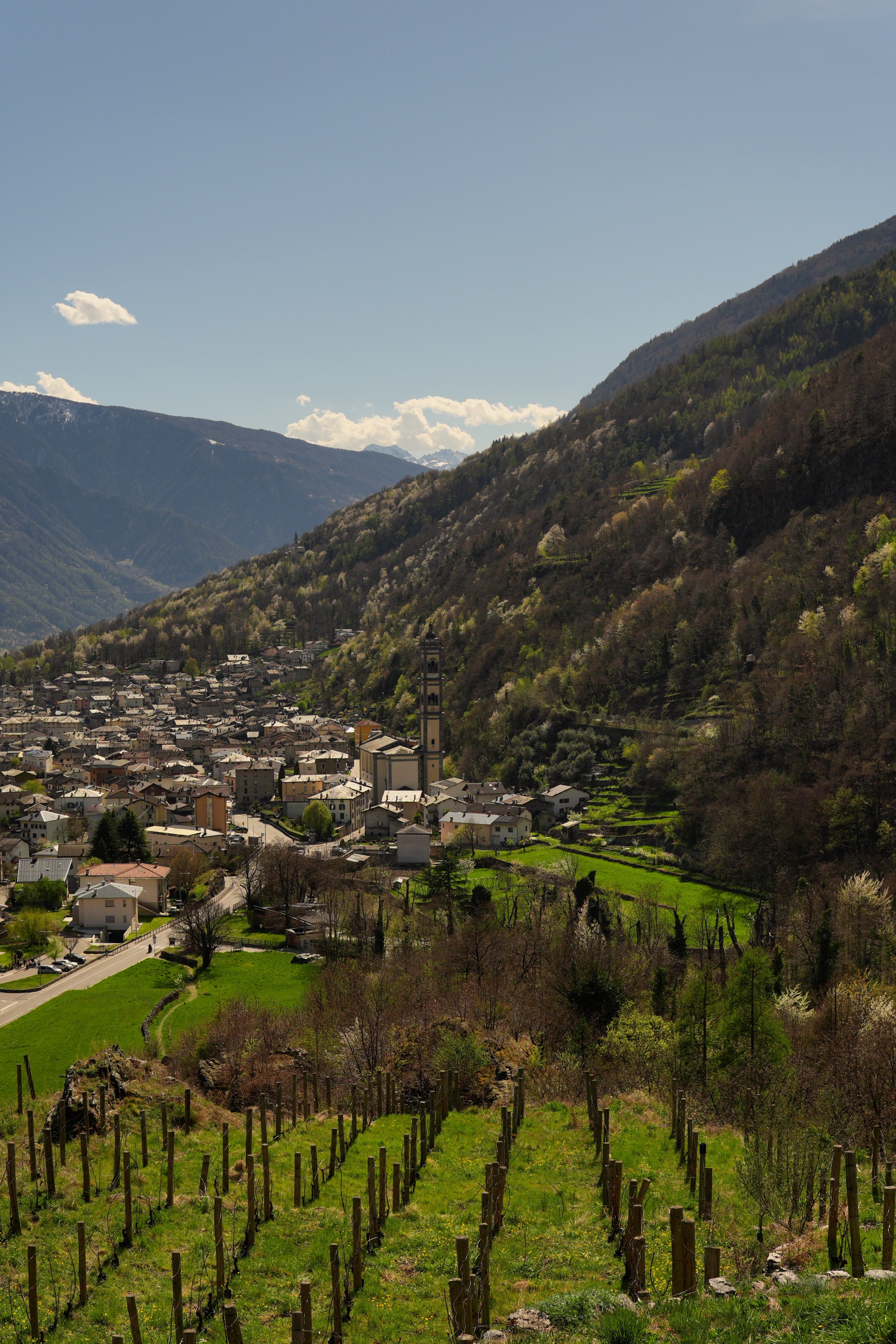 Tirano and Grosotto Italy 4
