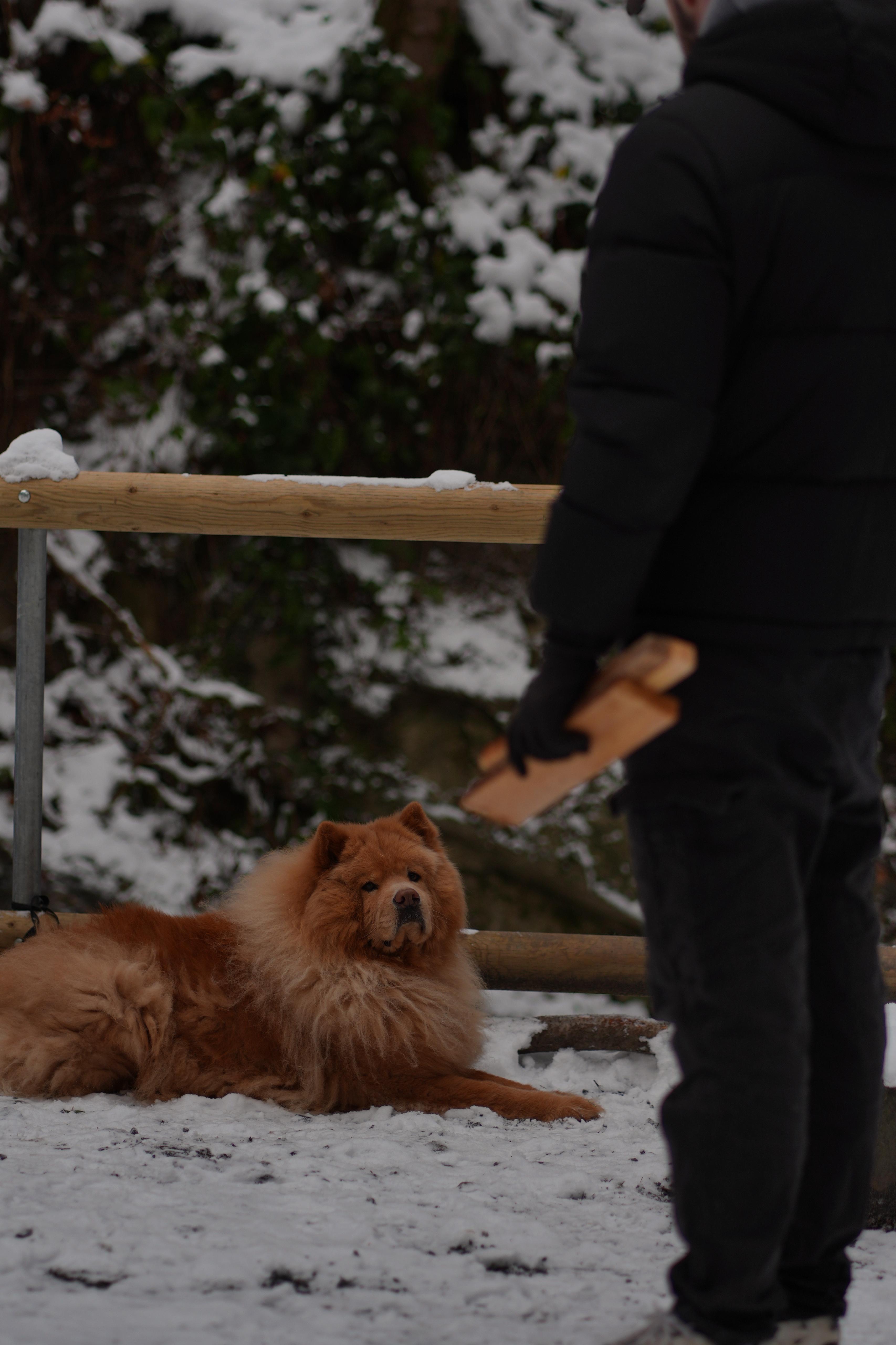 Dreamy winter photography 2