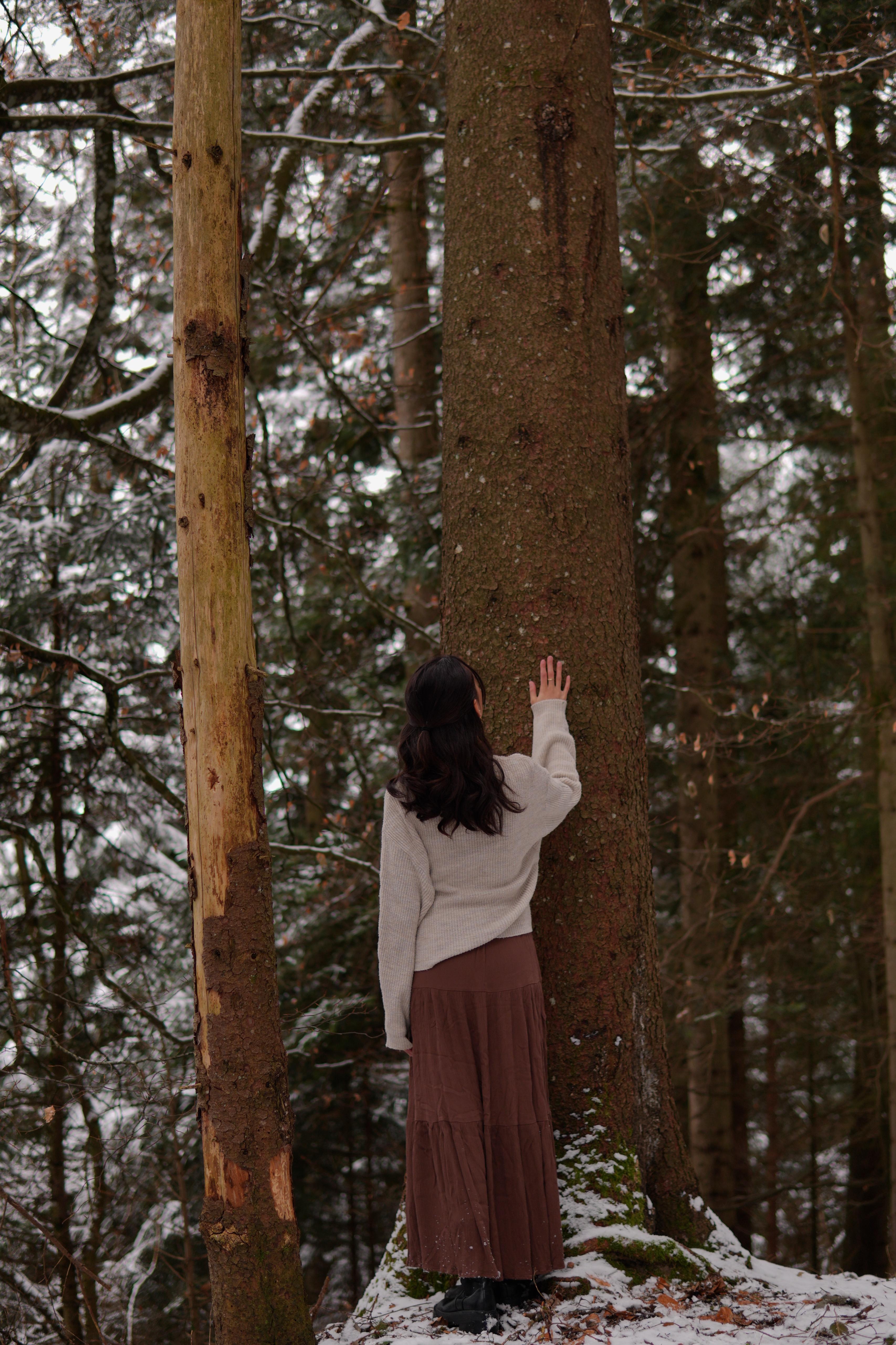 Dreamy winter photography 7